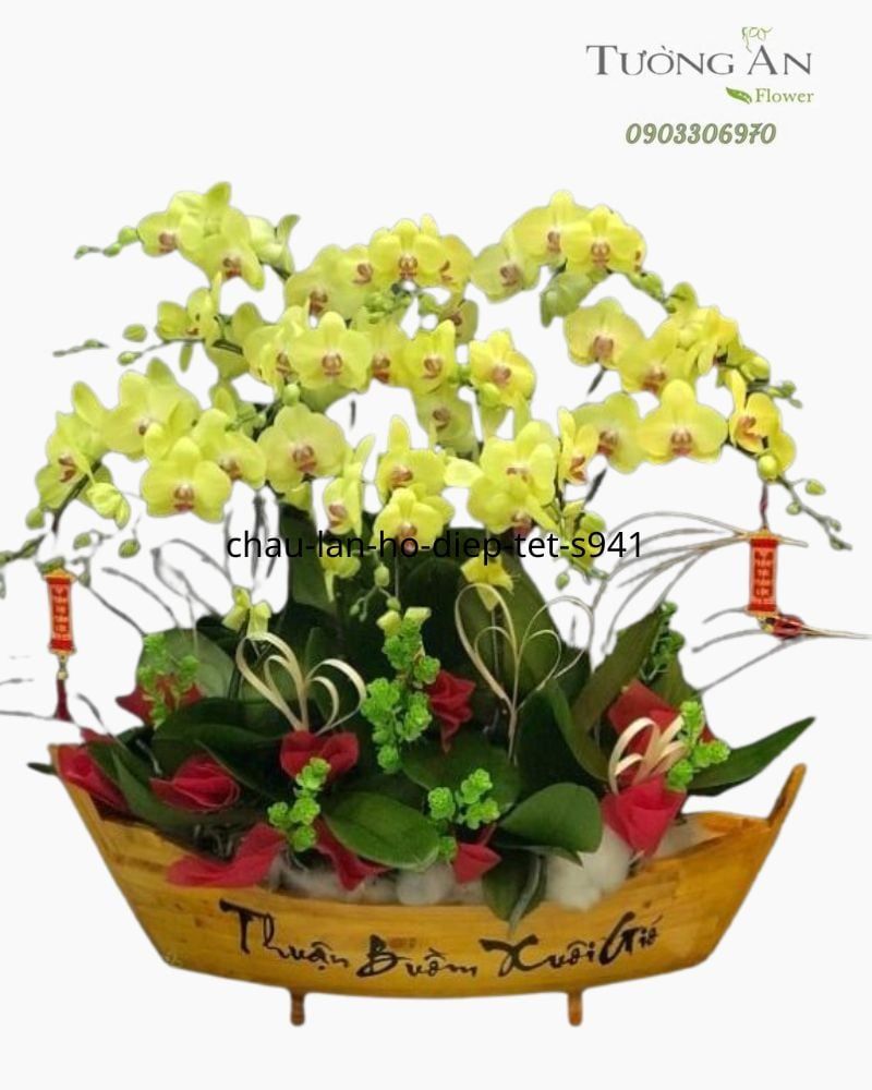  Chậu Lan Hồ Điệp Tết - S941 
