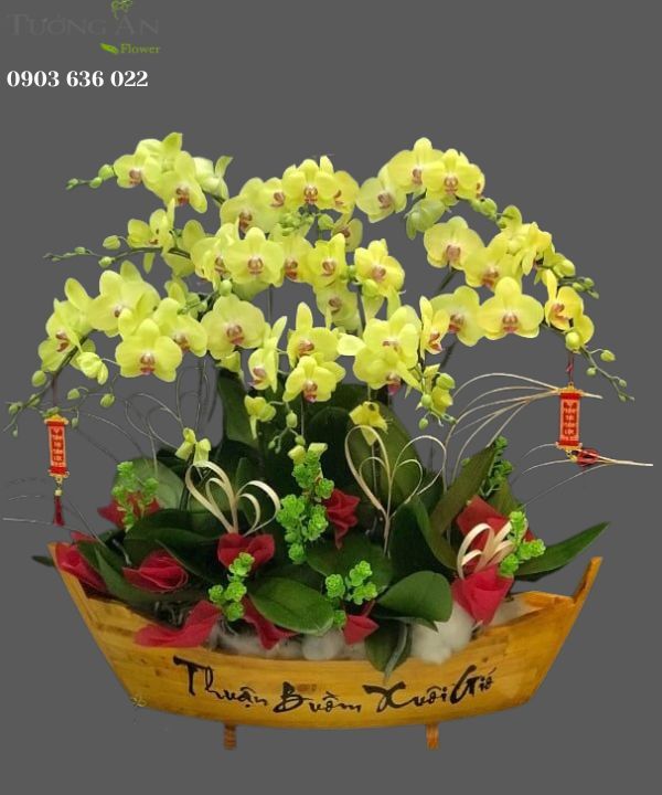  Chậu Lan Hồ Điệp Tết - S941 