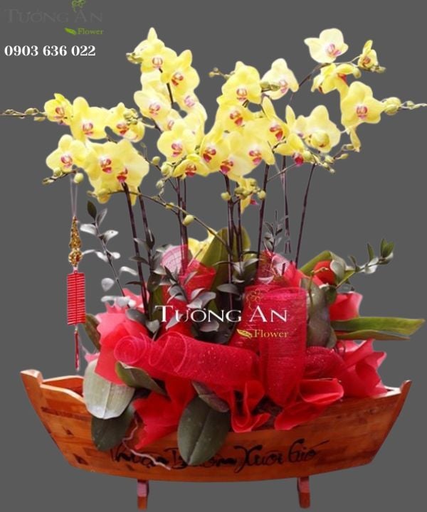  CHẬU LAN HỒ ĐIỆP THUẬN BƯỜM XUÔI GIÓ - S664 