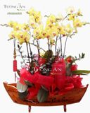  CHẬU LAN HỒ ĐIỆP THUẬN BƯỜM XUÔI GIÓ - S664 