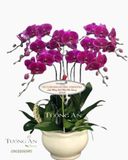  Chậu Lan Hồ Điệp Tím - S936 