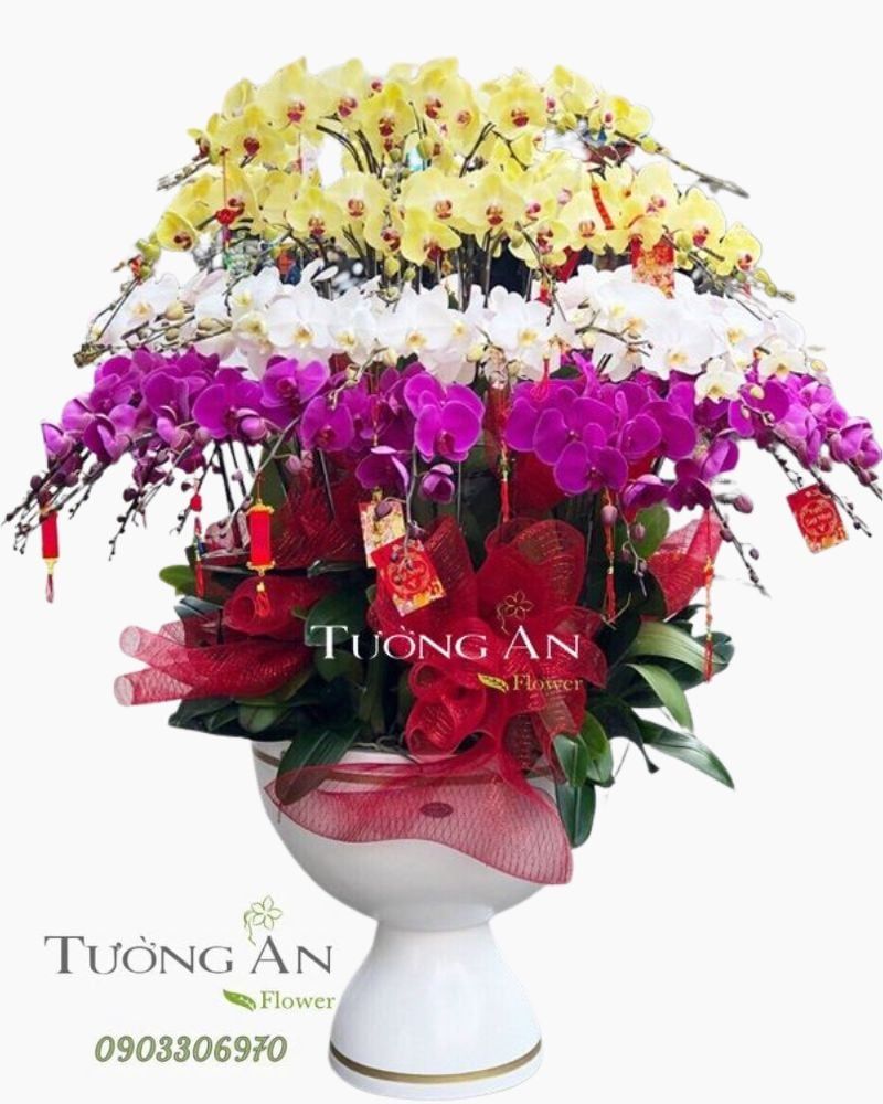  Chậu Lan Hồ Điệp Xoay Tròn - S956 