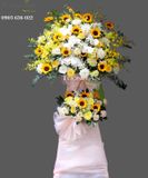  Hoa Chúc Mừng Đại Cát - S722 