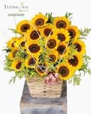  Giỏ Hoa Ánh Dương - A317 