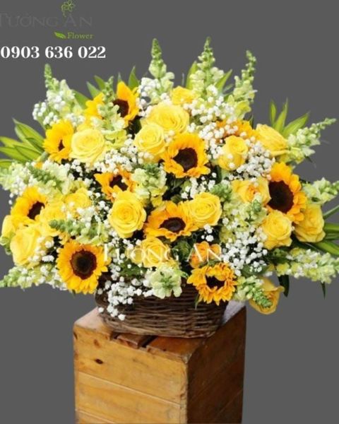 gio-hoa-ngay-ha-s607