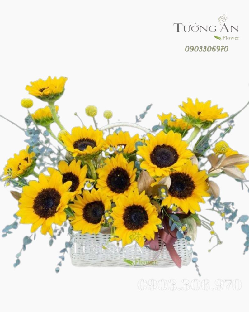 Giỏ Hoa Vươn Tới Mặt Trời - MM148 