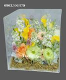  Hộp Hoa Vali Một Lần Được Yêu - HH11 