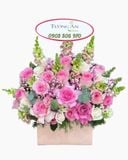  Hoa Cắm Hộp Hồng Ngọt Dịu Êm - HCH03 