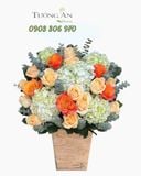  Hoa Cắm Hộp Dịu Dàng Nắng Mới - HCH06 