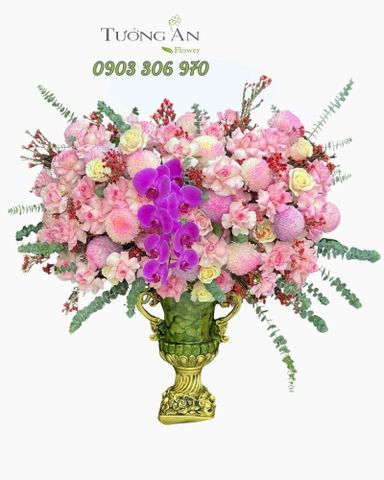 Lan Hồ Điệp Tím