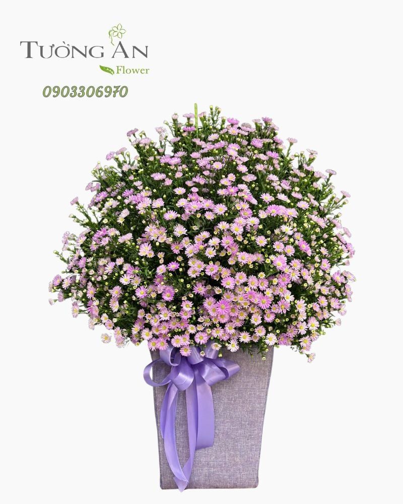  Hoa Cắm Hộp Tím An Nhiên - HCH62 