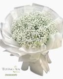  Hoa Bó Baby Trắng A224 