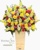  Hoa Cắm Hộp An Lành - S234 