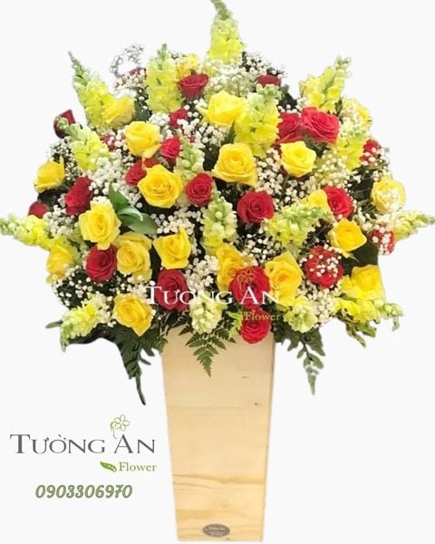 hoa-cam-hop-an-lanh-s234