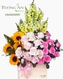  Hoa Cắm Hộp Đoàn Viên - A150 