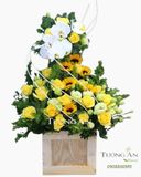  Hoa Cắm Hộp Giọt Nắng - A270 