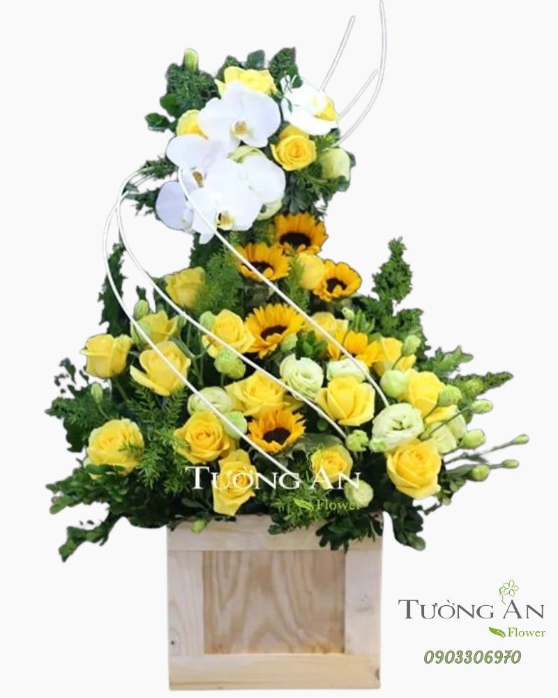  Hoa Cắm Hộp Giọt Nắng - A270 