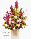  Hoa Cắm Hộp Hạnh Phúc - A241 