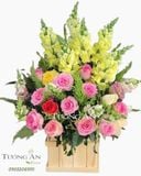  Hoa Cắm Hộp Hát Ca - A284 