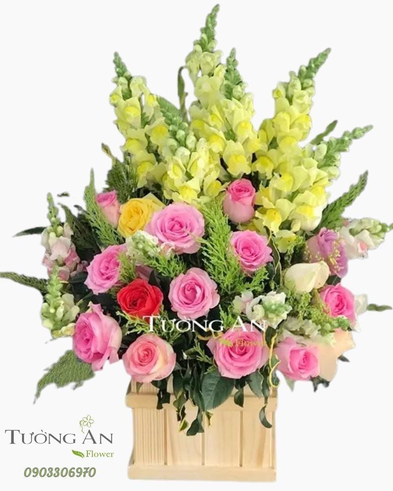  Hoa Cắm Hộp Hát Ca - A284 