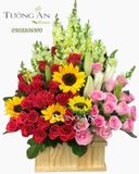  Hoa Cắm Hộp Thăng Tiến - A273 