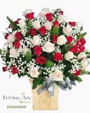  Hoa Cắm Hộp Tiếp Bước - A239 