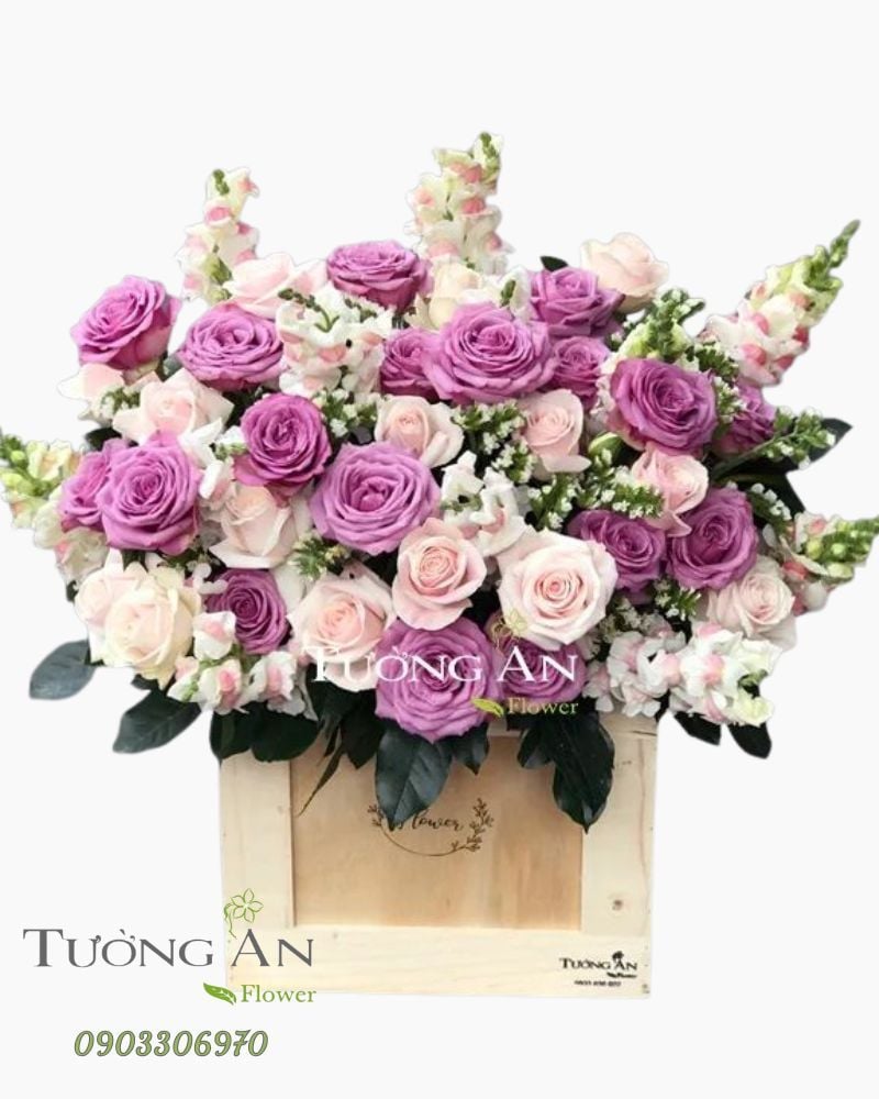  Hoa Cắm Hộp Tím Thương Nhớ - A269 