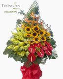  Hoa Chúc Mừng Bay Cao Lên - S184 