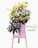  Hoa Chúc Mừng Hồng Phúc - S157 