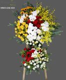  Hoa Chúc Mừng Rực Rỡ - S494 