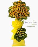  Hoa Chúc Mừng Tiếp Bước - S185 