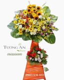  Hoa Chúc Mừng Tương Lai Rạng Rỡ - S156 