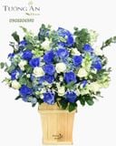  Hộp Hoa Hồng Xanh - B169 