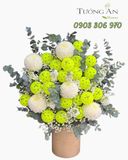  Hoa Cắm Hộp Lục Ngọc Green Victory - HCH12 