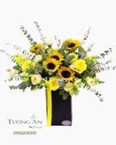  Hộp Hoa Ánh dương - S616 