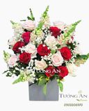  Hộp Hoa Bé Nhỏ - B176 