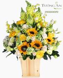  Hộp Hoa Chúc Mừng - B163 