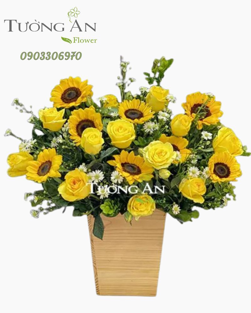  Hộp Hoa Hướng Dương - B120 