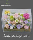  Hộp Hoa Mica Sắc Hoa Tình Yêu - HH1 