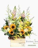  Hộp Hoa Mừng Khai Trương - B134 