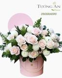  Hộp Hoa Ngày Tuyết Rơi - S252 