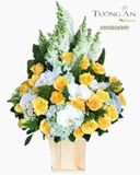  Hộp Hoa Tặng Sinh Nhật - B162 