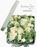  Hộp Hoa Tinh Khôi - S614 