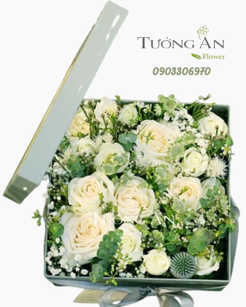 hop-hoa-tinh-khoi-s614