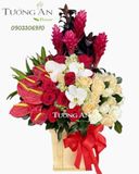  Hộp Hoa Tông Đỏ - B165 