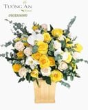  Hộp Hoa Tông Vàng - B156 