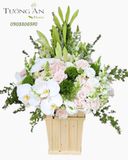  Hộp Hoa Trắng Xanh - B171 