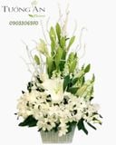  Hộp Hoa Viếng Thanh Cao - S413 