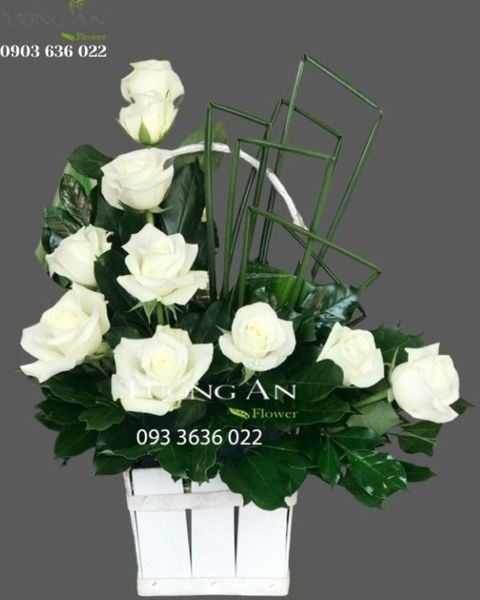 hop-hoa-vieng-chia-buon-s409