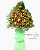  Kệ Hoa Ánh Sáng Chói Lóa - S290 